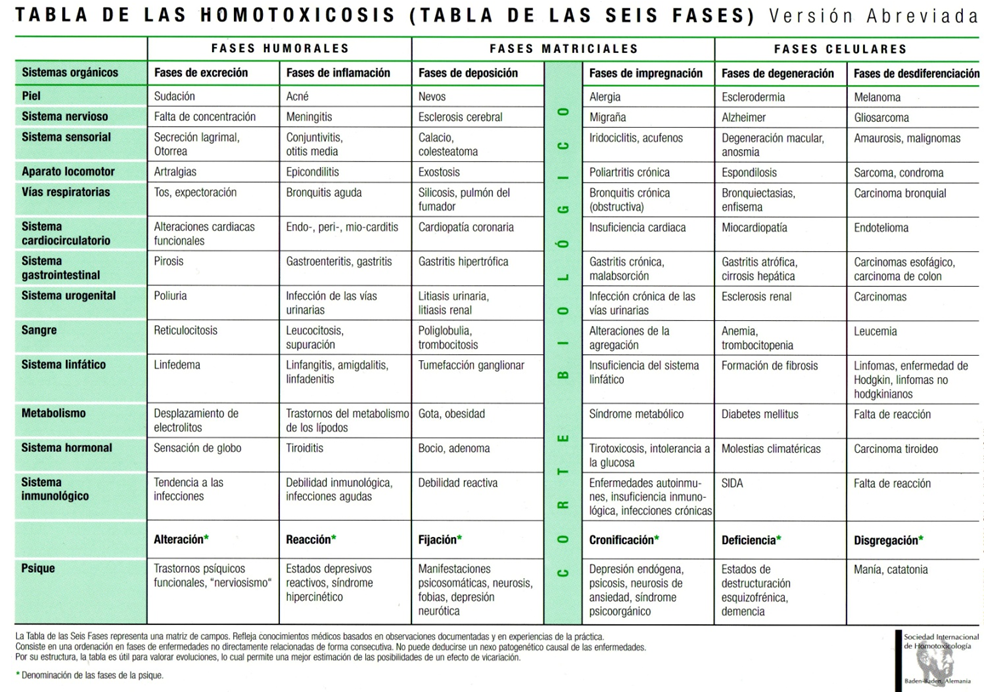 Resultado de imagen de tabla de la homotoxicosis